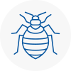 Bed Bug Extermination In Whitefield