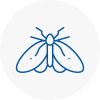 Moth Control Specialists In Whitefield